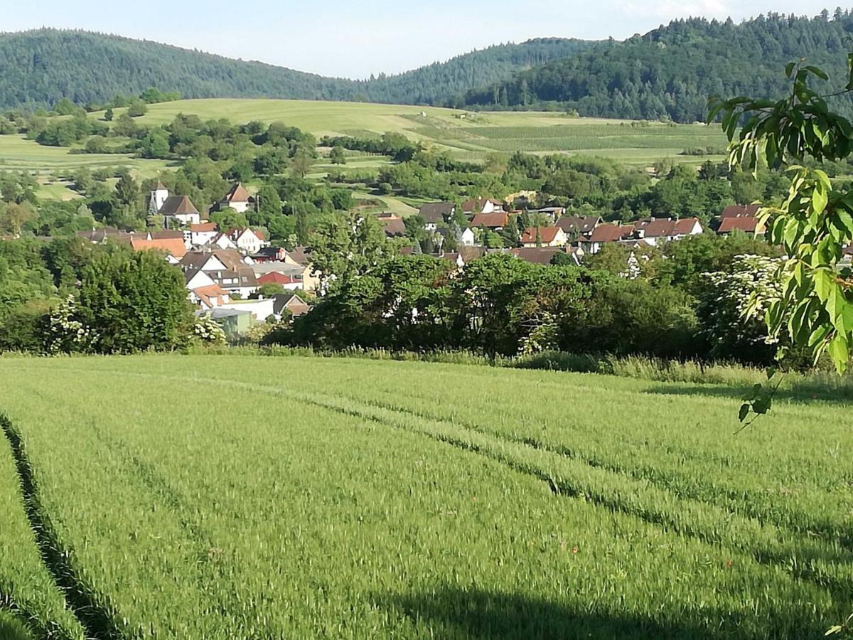 Galerie Ueber Den Gaerten Herbolzheim Luaran gambar