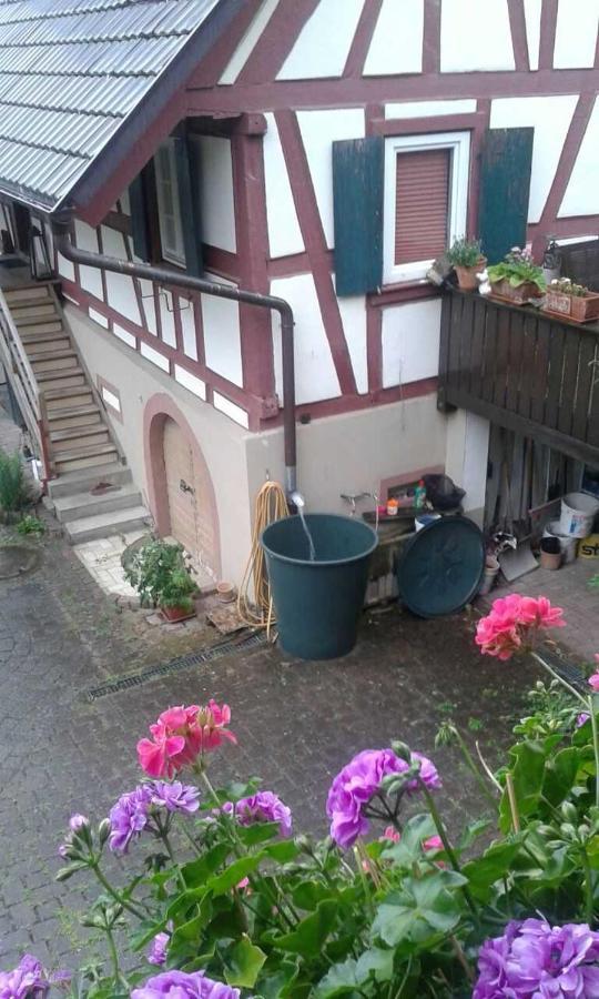 Galerie Ueber Den Gaerten Herbolzheim Luaran gambar
